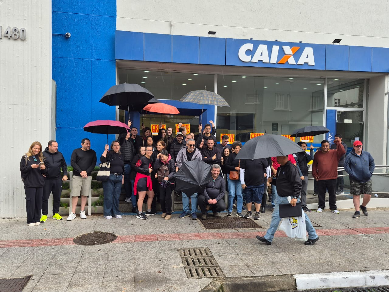 Greve-SP-5.jfif